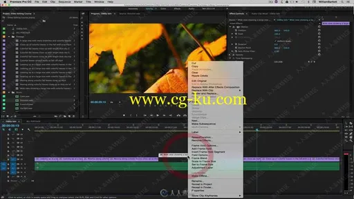 Premiere Pro CC视频编辑技能训练视频教程的图片4