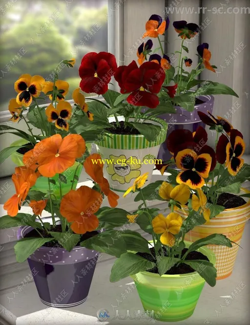 多种颜色美丽花朵盆栽3D模型的图片1
