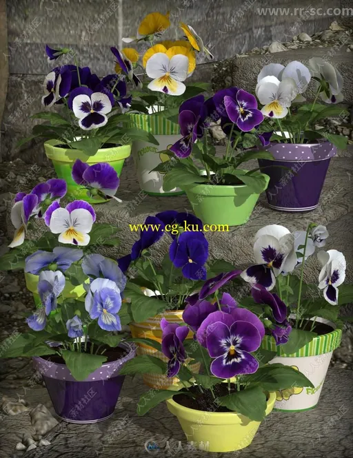 多种颜色美丽花朵盆栽3D模型的图片3