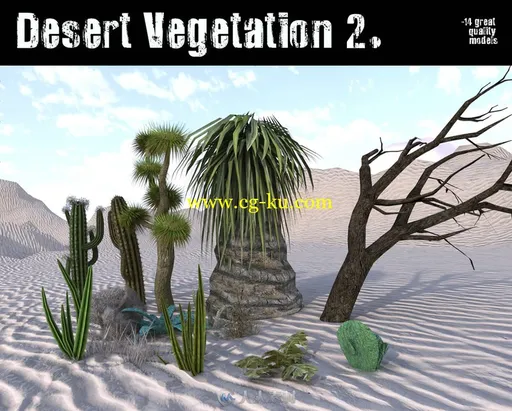 多种沙漠生存植物3D模型的图片1