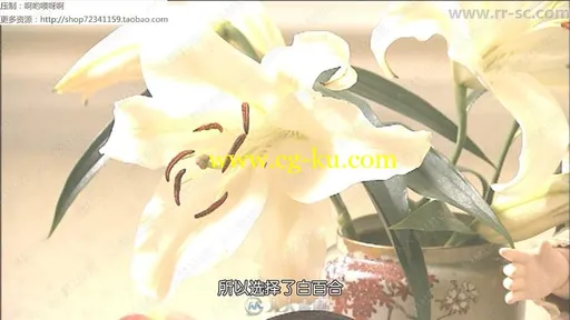 永山裕子唯美花卉静物水彩视频教程的图片3