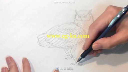 鸟类传统绘画艺术实例训练视频教程的图片2