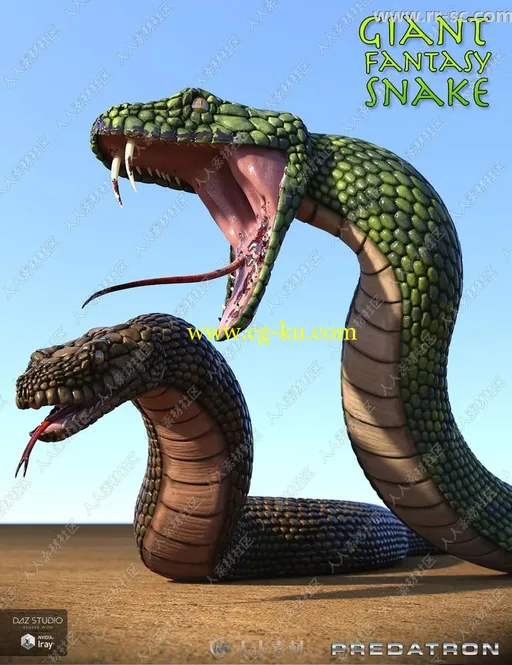 可怕逼真庞大爬行攻击蟒蛇3D模型的图片2