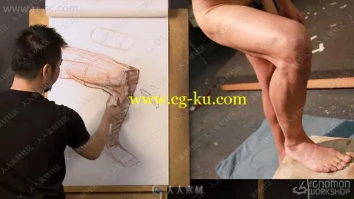 人体腿部臀部结构完整剖析绘画艺术视频教程的图片3