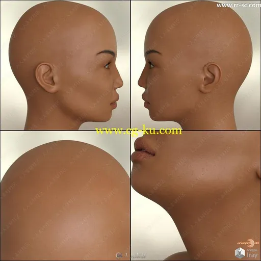 多种发型妆容身体细节展示女性3D模型的图片2