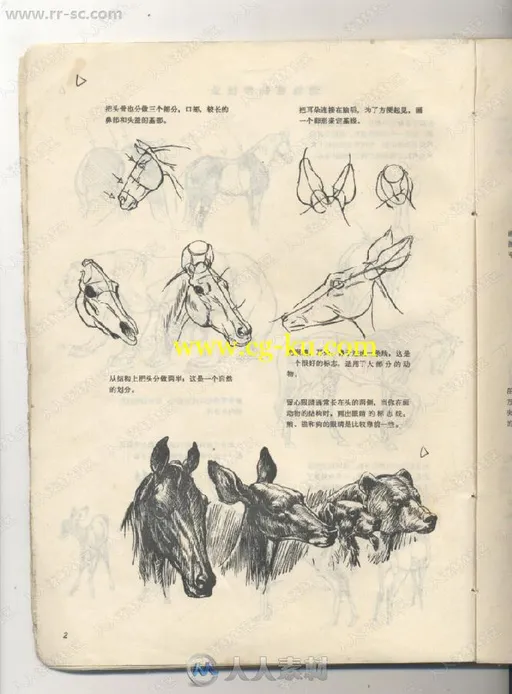 超实用基础图书动物画技法书籍杂志的图片3