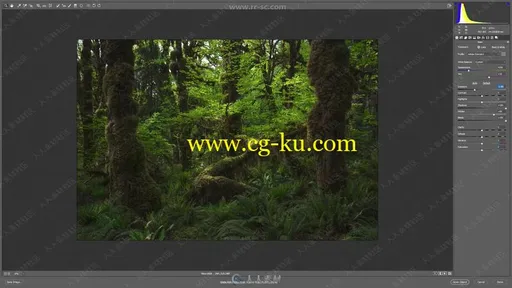 Photoshops风景场景色彩与光线修饰技术视频教程的图片2