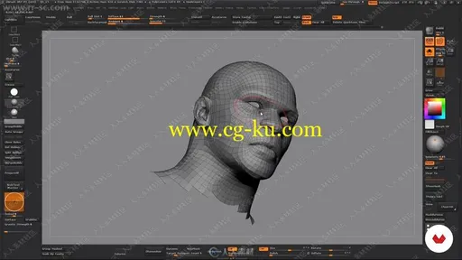 国外大师ZBrush影视级角色雕刻建模制作视频教程的图片3