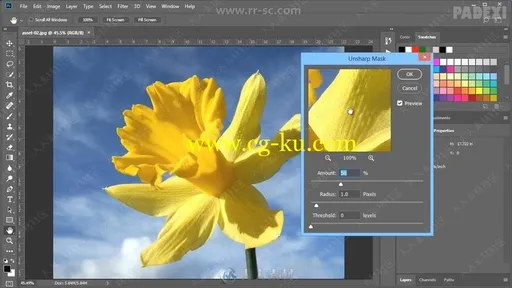 Photoshop滤镜特效制作技术训练视频教程的图片3