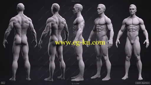 ZBrush男性女性人体肌肉解剖3D模型合集的图片2