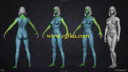 ZBrush男性女性人体肌肉解剖3D模型合集的图片3