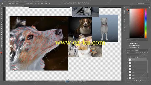 Maya中XGen制作真实小狗毛发工作流程视频教程的图片1
