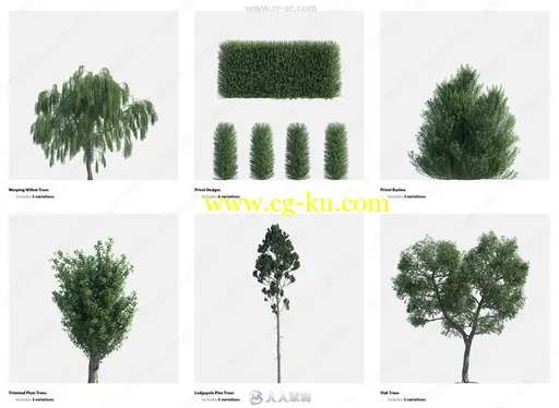 15种不同类型树木枝叶等植物3D模型合集的图片2