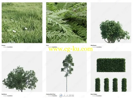 15种不同类型树木枝叶等植物3D模型合集的图片3