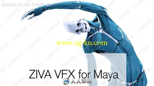 Ziva Dynamics Ziva VFX骨骼肌肉运动模拟Maya插件V1.7版的图片1