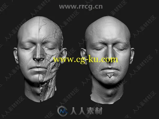 超精细男性头部扫描雕刻级3D模型的图片1