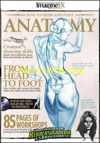 《解剖图绘制高级教程》ImagineFX How to Draw and Paint Anatomy eBook +的图片1
