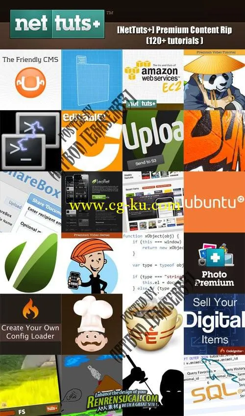《NetTuts出品 高级网页制作训练教程合辑》NetTuts Plus All Premium Tutorials的图片2