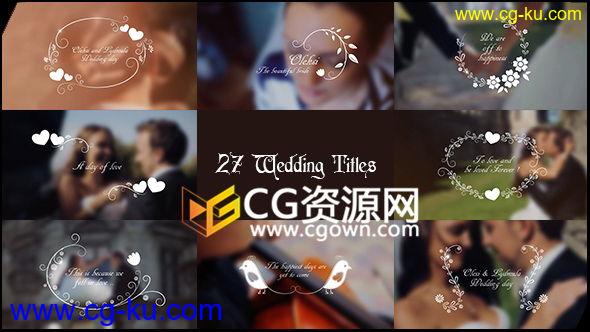 27种样式婚礼徽标片头新郎新娘名字标题动画AE模板 优雅现代简约实用 免费下载的图片1