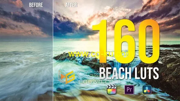 160种海滩风格调色LUT颜色分级包括DaVinciResolve/AE/PR使用视频教程的图片1