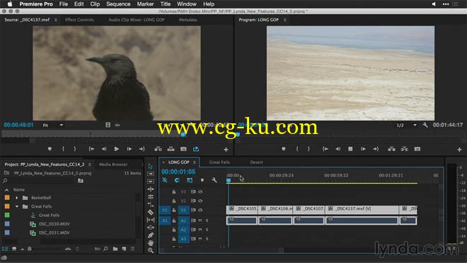 3部lynda系列的Premiere Pro教程的图片2