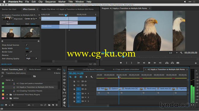 3部lynda系列的Premiere Pro教程的图片3