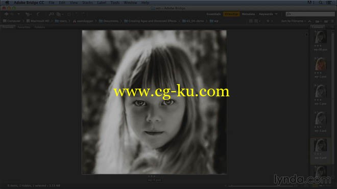 9部Lynda系列的photoshop教程的图片2
