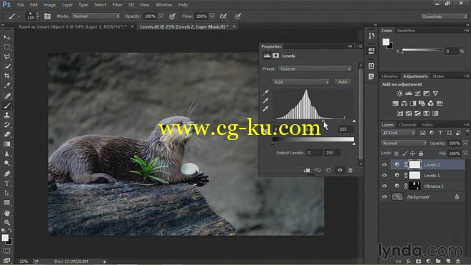 9部Lynda系列的photoshop教程的图片4