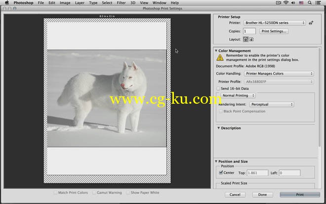 14部Train Simple 系列的 Photoshop 教程的图片1