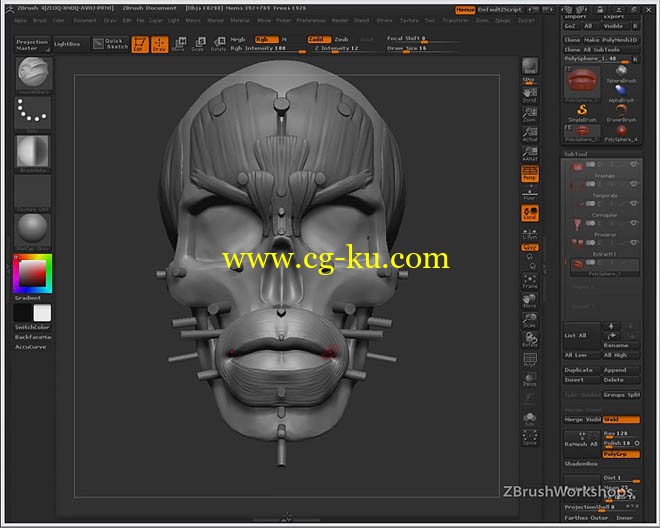 Anatomy of the Face for Artists的图片1