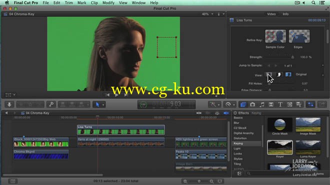 Larry Jordan FCPX 10.1 Effects的图片1