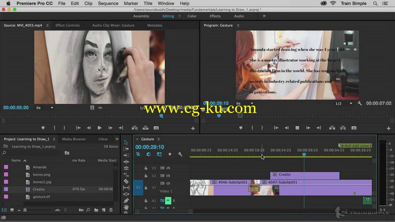 TrainSimple - Premiere Pro CC 2015 Fundamentals的图片1