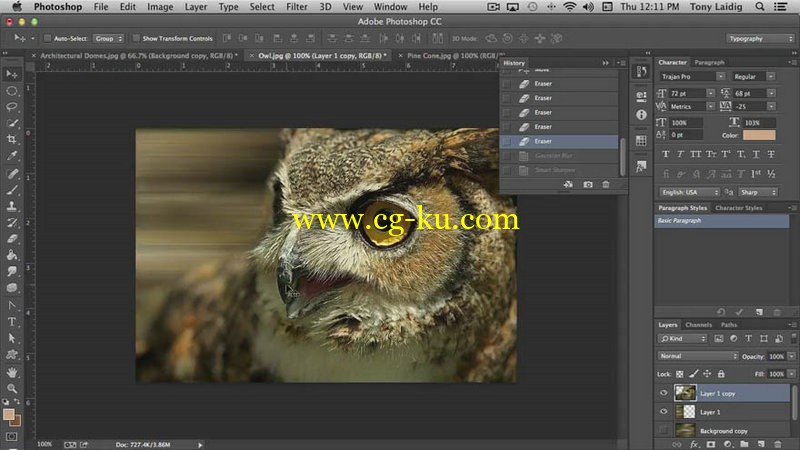 SkillShare - PhotoShop Secrets From A Beginner To An Expert的图片1