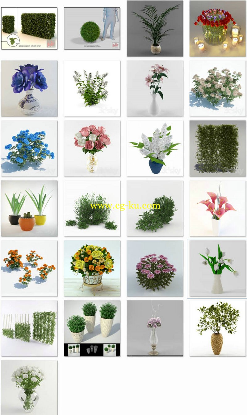 3ddd - Classic Plant的图片1