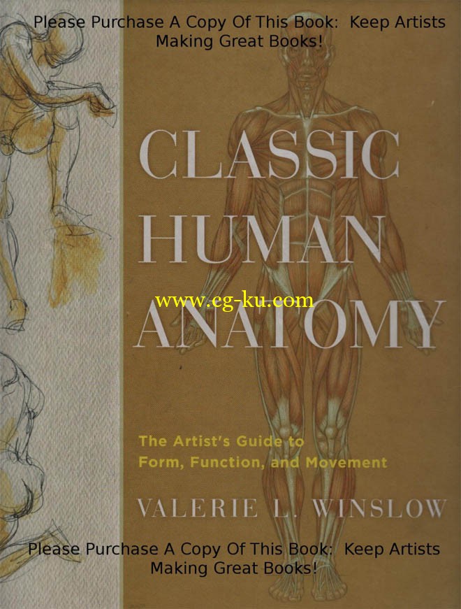Classic Human Anatomy The Artist's Guide to Form, Function, and Movement的图片1