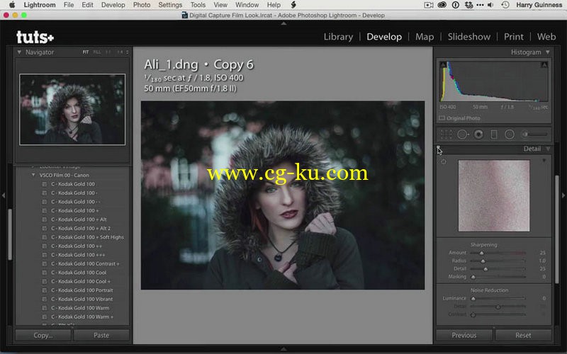 Tutsplus - Give Your Digital Images a Colour Film Look的图片1