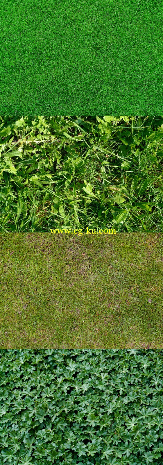 grass textures的图片1