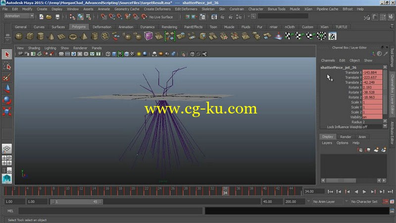 3DMotive - Advanced Scripting in Maya Volume 1-5的图片1