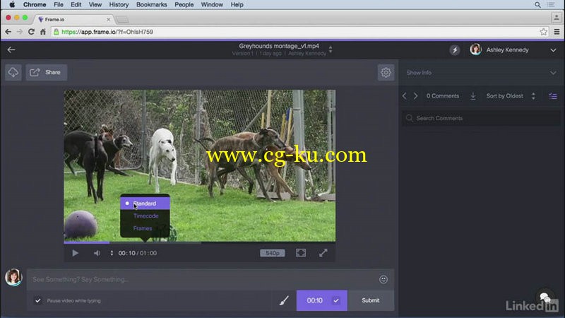 Lynda - Frame.io Video Collaboration and Review的图片1