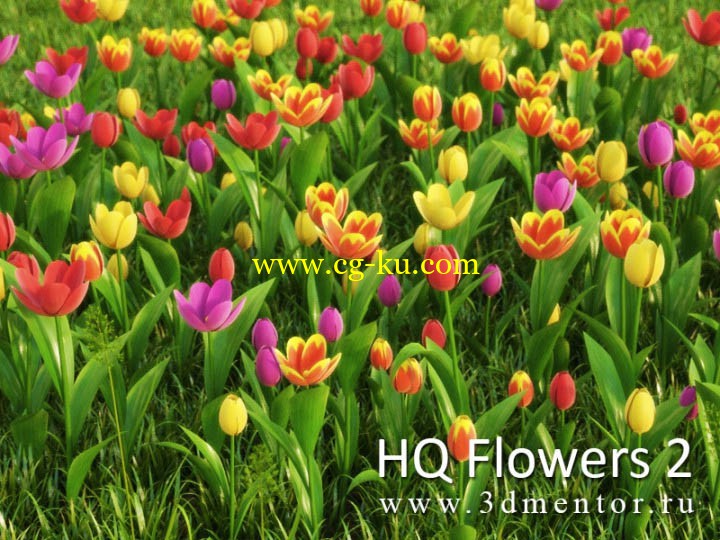 ​3dmentor.ru -  vrayc4d - HD Flowers vol.2 for Cinema4D的图片1