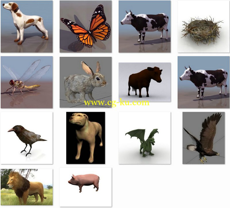 animals的图片1