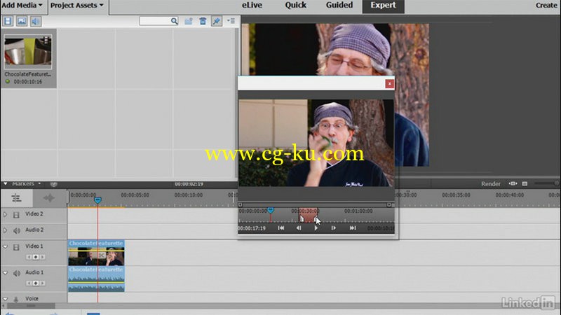 Lynda - Learning Premiere Elements 15的图片1