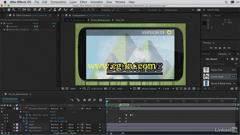 Lynda - After Effects Guru CC Market and Libraries的图片1