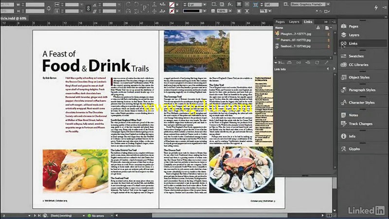 Lynda - InDesign for Editors的图片1