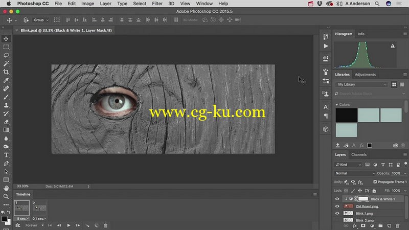 O'Reilly - Creating Cinemagraphs in Adobe Photoshop的图片1