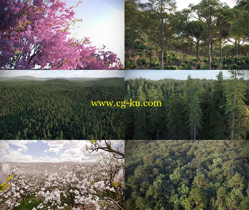 VIZPARK Real Trees 3dsmax的图片1