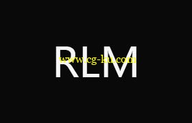 Ultimate RLM floating license server （WindowsMacLinux）的图片1