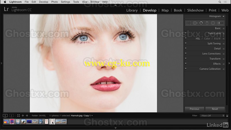 Lynda - Lightroom Creative Color的图片1