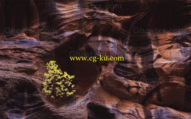 Complete Guide to Luminosity Masks 2nd Edition的图片1