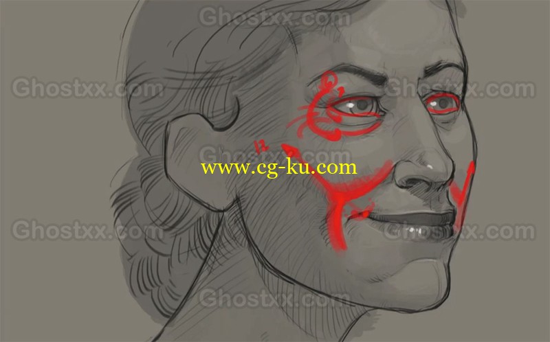 Scott Eaton - Portraiture & Facial Anatomy的图片1